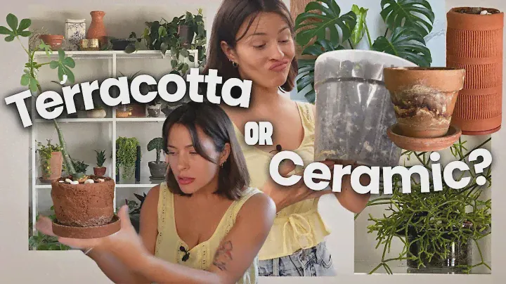 Choosing the Best Planter: Terracotta, Ceramic, or Plastic?