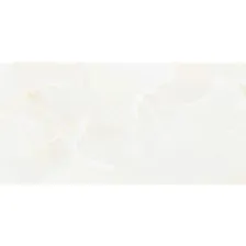 NT Ceramic Onyx - Onyx Predo NTT99504P