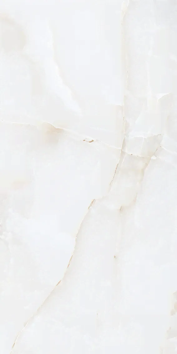 КЕРАМОГРАНИТ ONYX MAJESTIC (NTT99503P) 60X120 ОТ NT CERAMIC