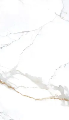 Керамогранит NTT3001P NT Ceramic Carrara Gold 120x240-0