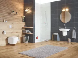 Унитаз подвесной Grohe Euro Ceramic 3932800H